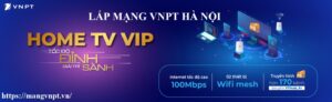 lắp mạng VNPT hà nội